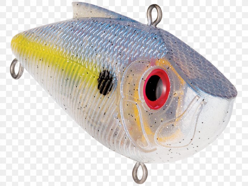 Plug Fishing Baits & Lures Spoon Lure Bass Fishing, PNG, 1200x899px, Plug, Bait, Bait Fish, Bass Fishing, Fish Download Free