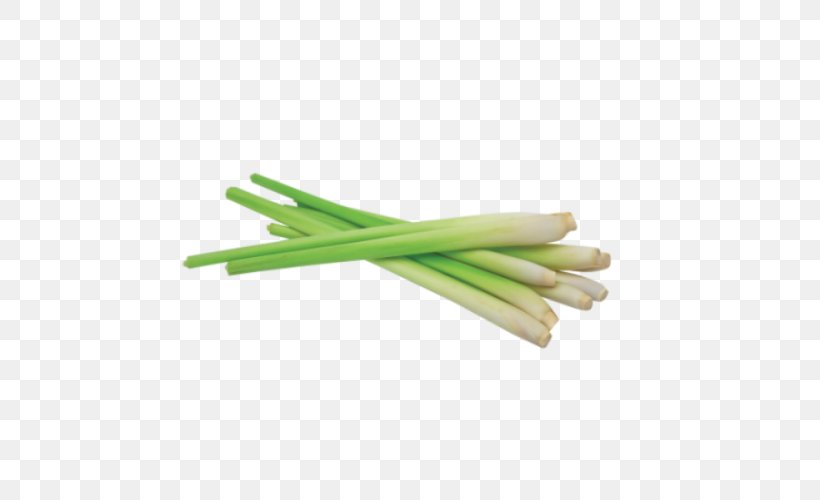 Vegetable Food Plant Celery Welsh Onion, PNG, 500x500px, Vegetable, Celery, Food, Ingredient, Leek Download Free