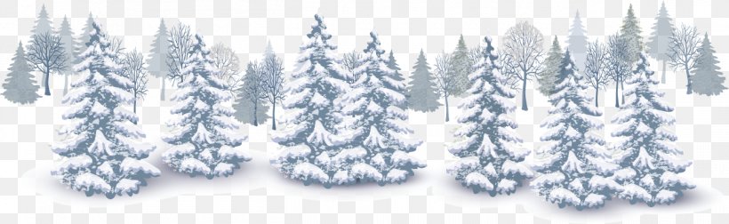 Winter Euclidean Vector Snow, PNG, 1297x399px, Winter, Blue, Christmas, Conifer, Pine Family Download Free