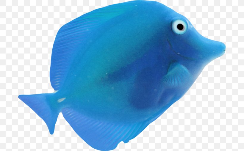 Fish Blue Sea, PNG, 699x508px, Fish, Aqua, Blue, Blue Moon, Cobalt Blue Download Free