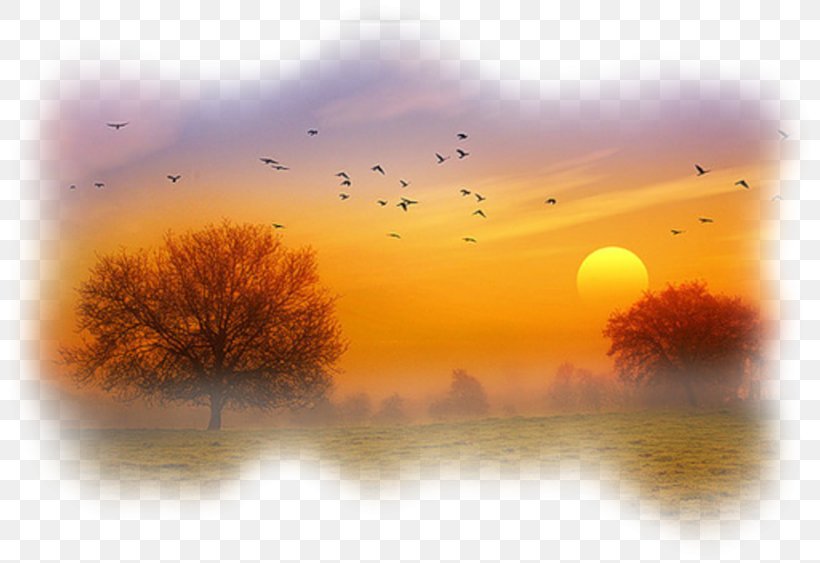 Summer Nature Background, PNG, 800x563px, Autumn, Animal Migration, Atmospheric Phenomenon, Bird, Bird Migration Download Free