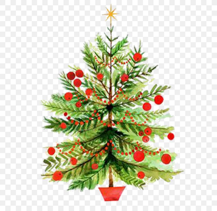 Christmas Tree Christmas Card Clip Art, PNG, 800x800px, Christmas Tree, Christmas, Christmas And Holiday Season, Christmas Card, Christmas Decoration Download Free