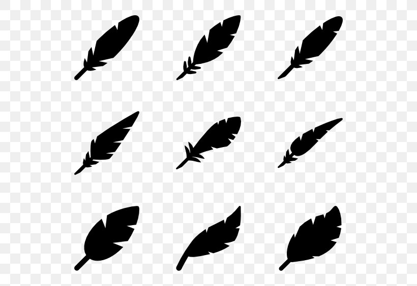 Feather Bird Clip Art, PNG, 600x564px, Feather, Beak, Bird, Black And White, Drawing Download Free