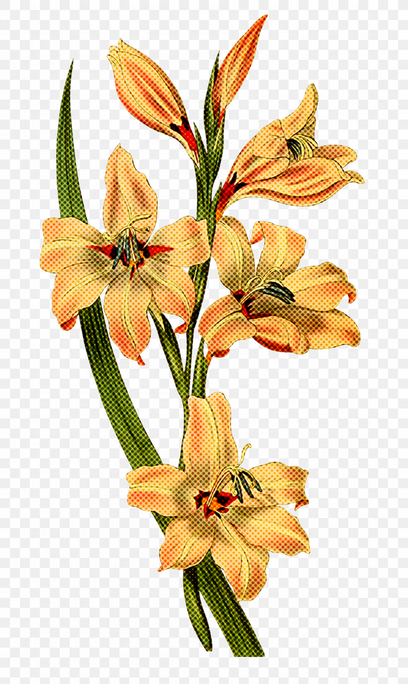 Floral Design, PNG, 1791x3000px, Floral Design, Cut Flowers, Easter Lily, Flower, Flower Bouquet Download Free