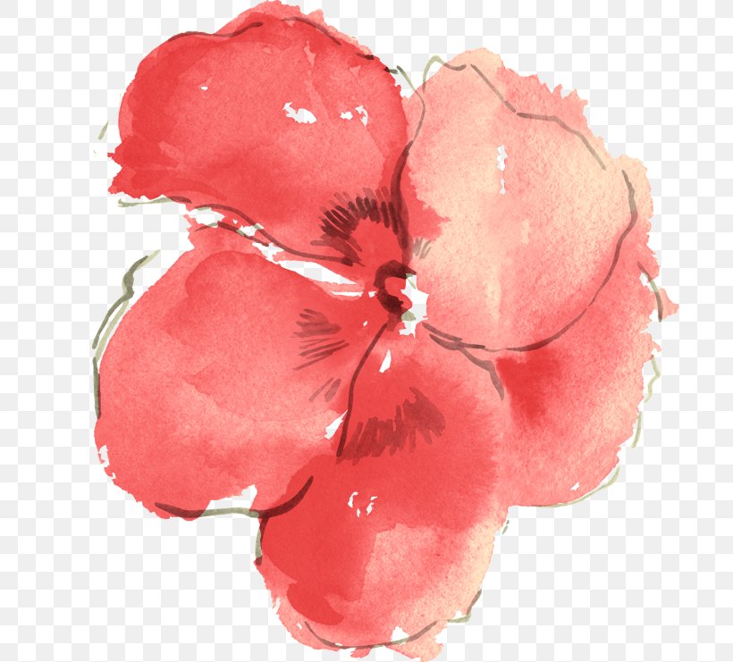 Flower Clip Art, PNG, 700x741px, Flower, Coreldraw, Cut Flowers, Flowering Plant, Hibiscus Download Free