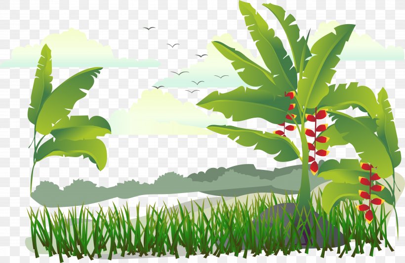 Banana Illustration, PNG, 6722x4383px, 3d Computer Graphics, Banana, Grass, Grass Family, Green Download Free