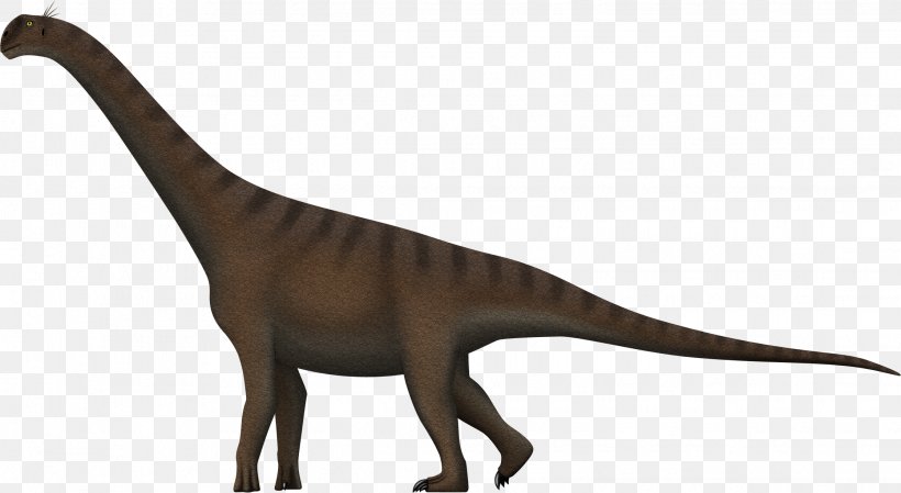 Camarasaurus Brachiosaurus Cedarosaurus Barosaurus Velociraptor, PNG, 2237x1227px, Camarasaurus, Animal, Animal Figure, Barosaurus, Barremian Download Free