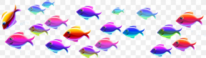 Fishkeeping Aquarium Live Food Fishing, PNG, 3411x965px, Fish, Amino Apps, Angling, Aquarium, Close Up Download Free