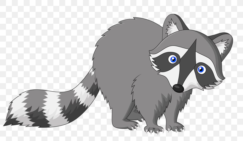 Raccoon Cartoon Drawing, PNG, 800x475px, Raccoon, Black And White,  Carnivoran, Cartoon, Cat Download Free