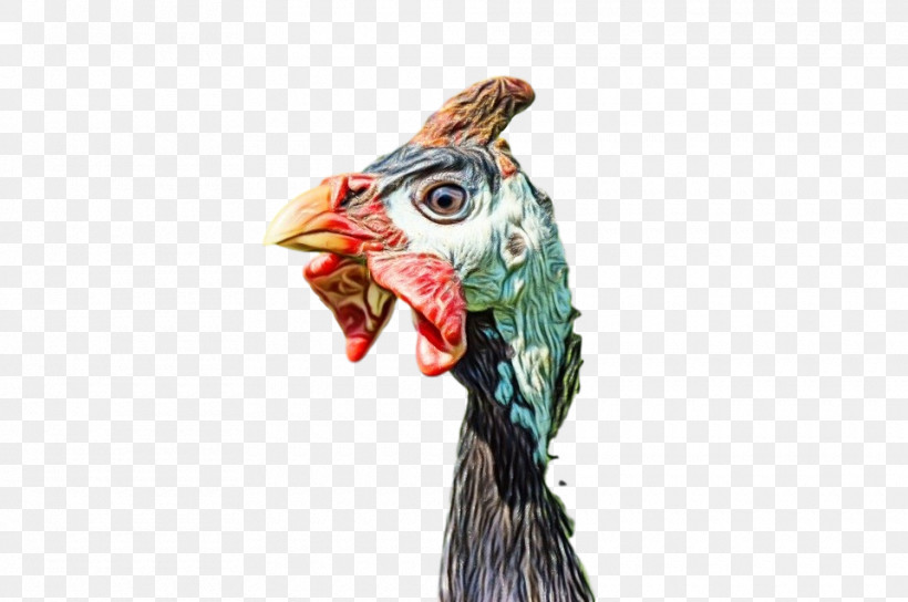 Rooster Bird Chicken Head Beak, PNG, 960x638px, Watercolor, Animal Figure, Beak, Bird, Chicken Download Free
