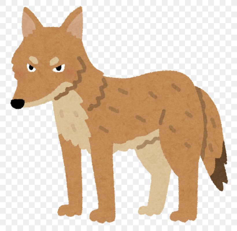 Coyote Dog Search Engine Optimization Dhole Red Fox, PNG, 800x800px, Coyote, Blog, Canidae, Carnivoran, Dhole Download Free