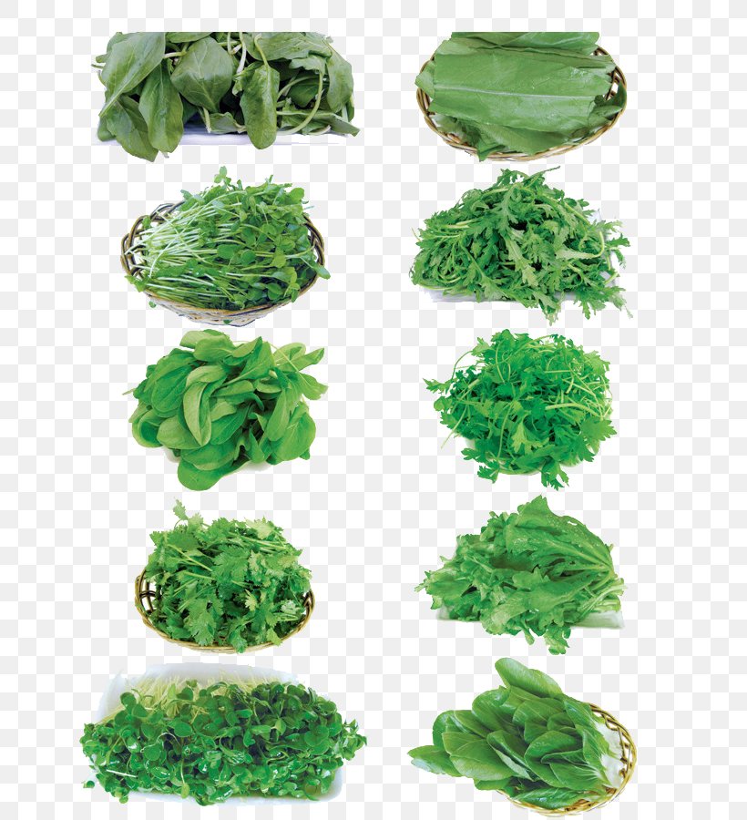 Kale Cabbage Vegetable Spring Greens, PNG, 650x900px, Kale, Bok Choy, Brassica Oleracea, Cabbage, Chinese Cabbage Download Free