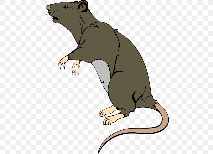 Brown Rat Mouse Rodent Laboratory Rat Clip Art, PNG, 480x594px, Brown Rat, Beaver, Black Rat, Carnivoran, Cartoon Download Free
