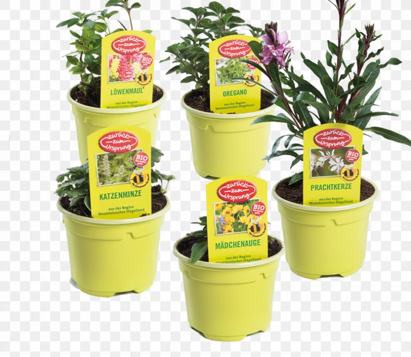 Herb Flowerpot Product, PNG, 830x720px, Herb, Flowerpot, Plant Download Free