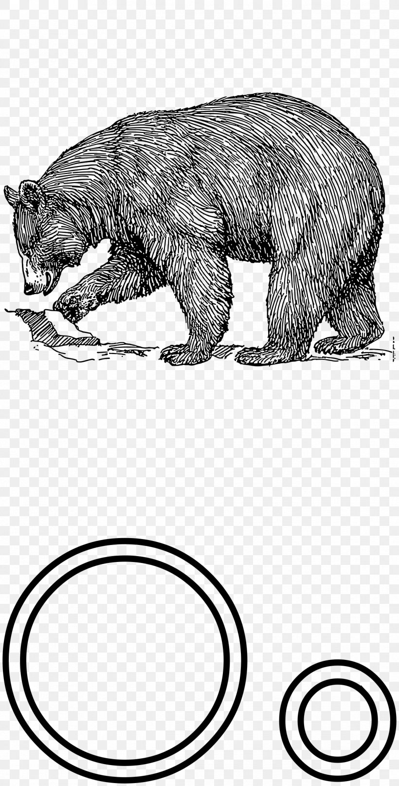 American Black Bear Polar Bear Brown Bear, PNG, 1219x2400px, American Black Bear, Animal Figure, Bear, Bears For Kids, Black And White Download Free