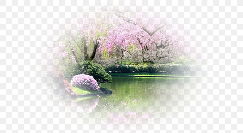 Desktop Wallpaper Landscape You'll Be In My Heart, PNG, 600x450px, Landscape, Animation, Blossom, Cherry Blossom, Display Resolution Download Free