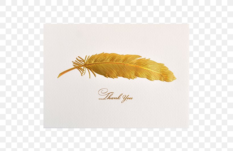 Feather Stationery Greeting & Note Cards Iridescence, PNG, 513x530px, Feather, Boutique, Gift, Greeting, Greeting Note Cards Download Free