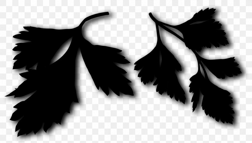 Leaf Font Silhouette, PNG, 2411x1374px, Leaf, Blackandwhite, Feather, Monochrome, Plant Download Free