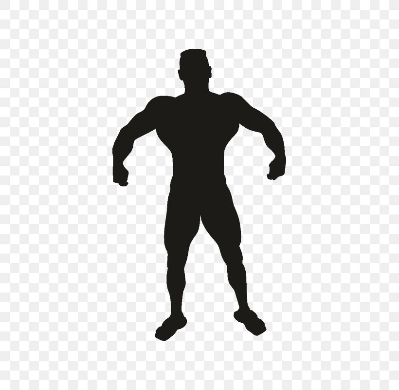 Vitruvian Man Fitness Centre Silhouette Clip Art, PNG, 800x800px, Vitruvian Man, Arm, Black, Black And White, Bodybuilding Download Free