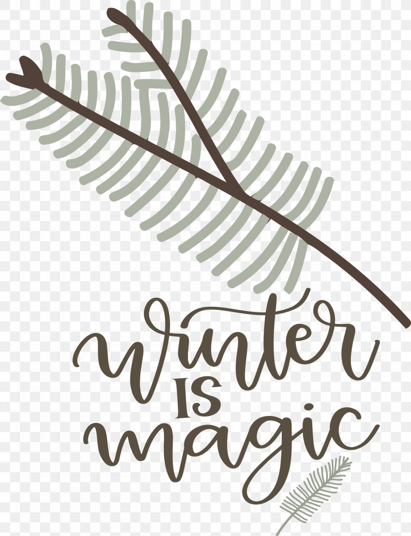 Winter Is Magic Hello Winter Winter, PNG, 2304x3000px, Winter Is Magic, Biology, Calligraphy, Geometry, Hello Winter Download Free