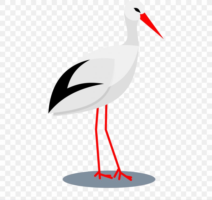 Bird Ciconia Beak Crane, PNG, 1247x1177px, Bird, Beak, Ciconia, Crane, Crane Like Bird Download Free