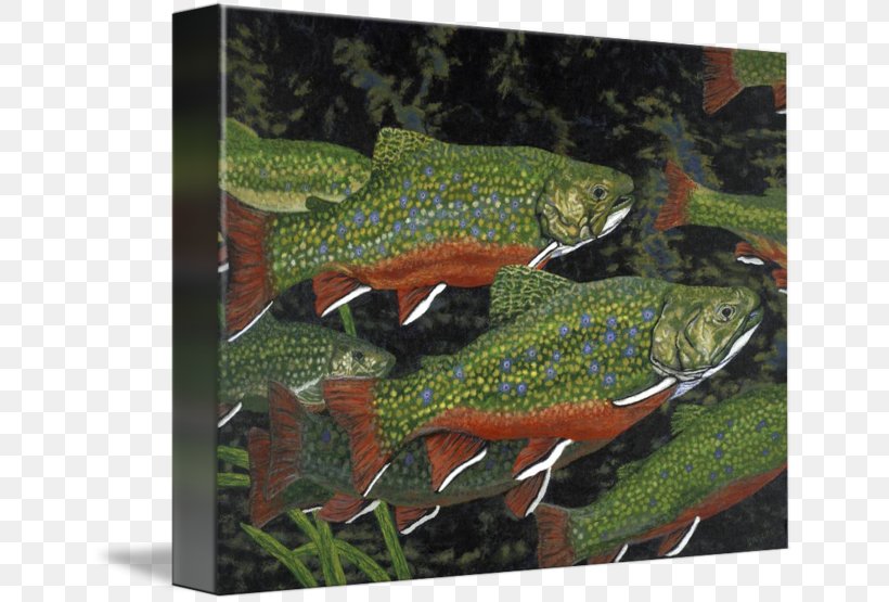 Brook Trout Art Imagekind Painting, PNG, 650x555px, Brook Trout, Amphibian, Art, Canvas, Drawing Download Free