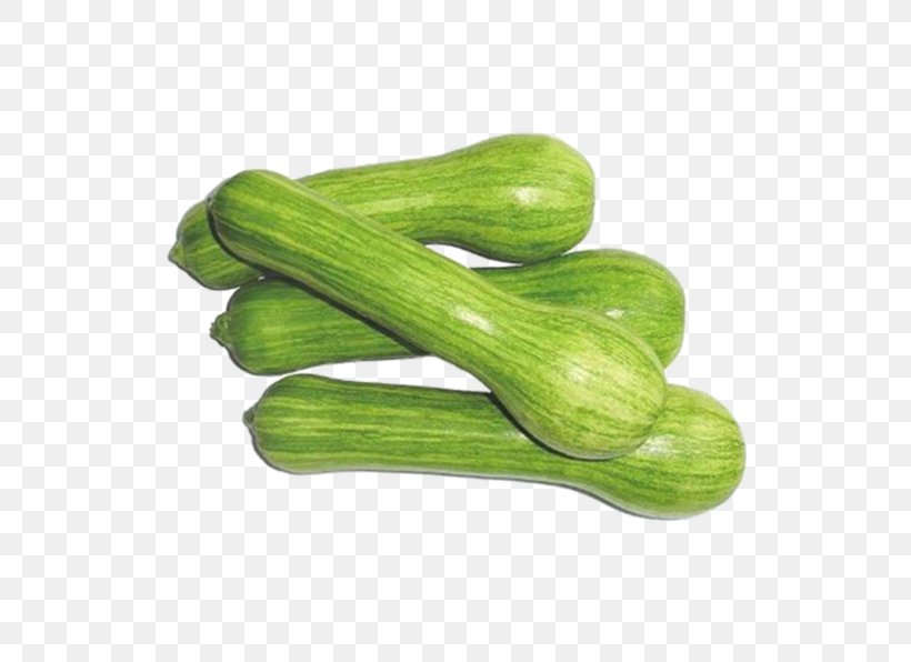 Cucurbita Pepo Zucchini Vegetable Pumpkin Brazil, PNG, 596x596px, Cucurbita Pepo, Brazil, Cucumber, Food, Legume Download Free