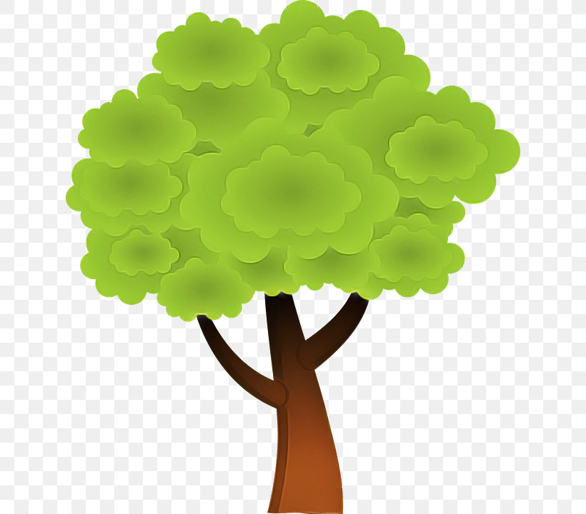 Green Tree Leaf Plant Plant Stem, PNG, 636x720px, Green, Leaf, Plant, Plant Stem, Symbol Download Free
