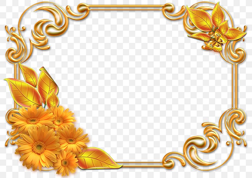Picture Frames Photography, PNG, 800x580px, Picture Frames, Bmp File Format, Body Jewelry, Flower, Information Download Free
