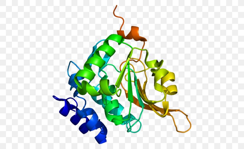 Procalcitonin Molecule Protein Structure Mass Spectrometry, PNG, 500x500px, Watercolor, Cartoon, Flower, Frame, Heart Download Free