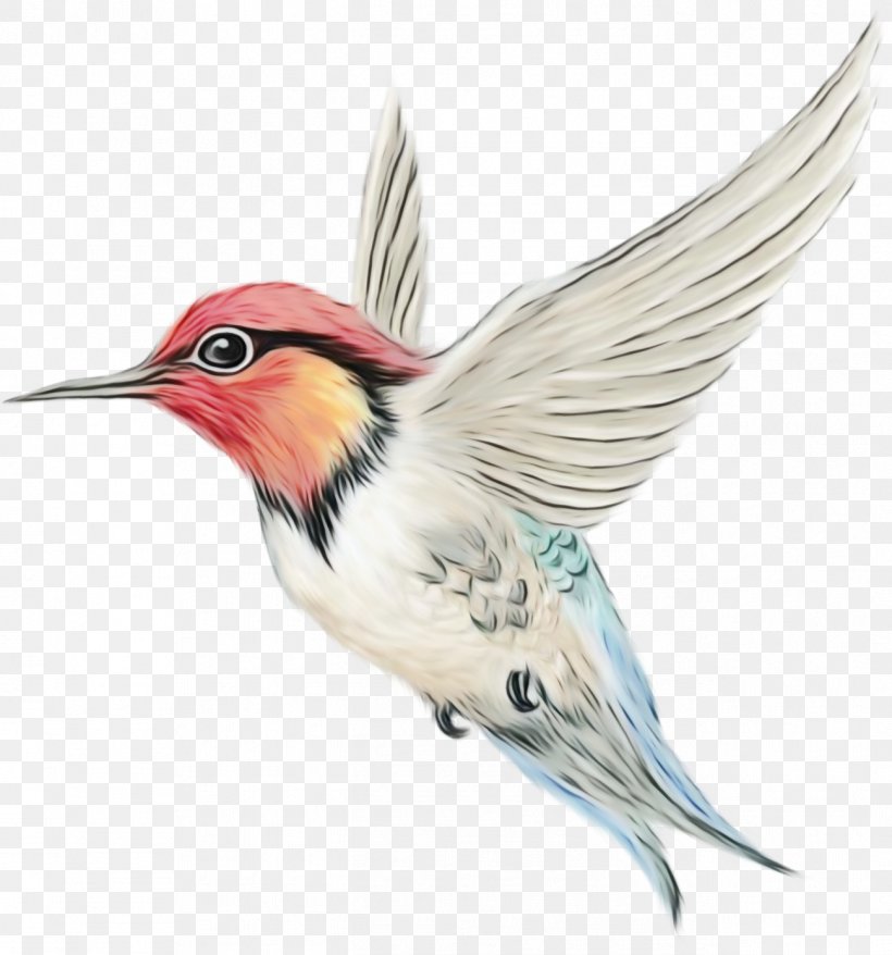 Robin Bird, PNG, 1297x1389px, Watercolor, Beak, Bird, English Language, Englishlanguage Idioms Download Free