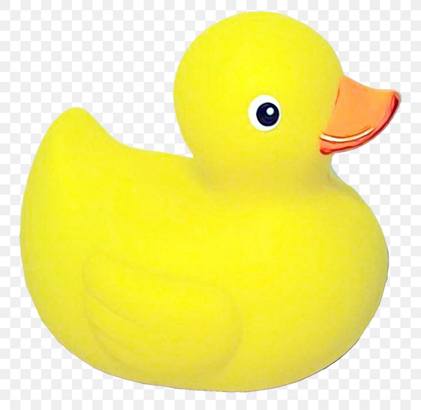 Rubber Ducky Bath Toy Duck Yellow Toy, PNG, 800x800px, Watercolor, Bath Toy, Beak, Bird, Duck Download Free
