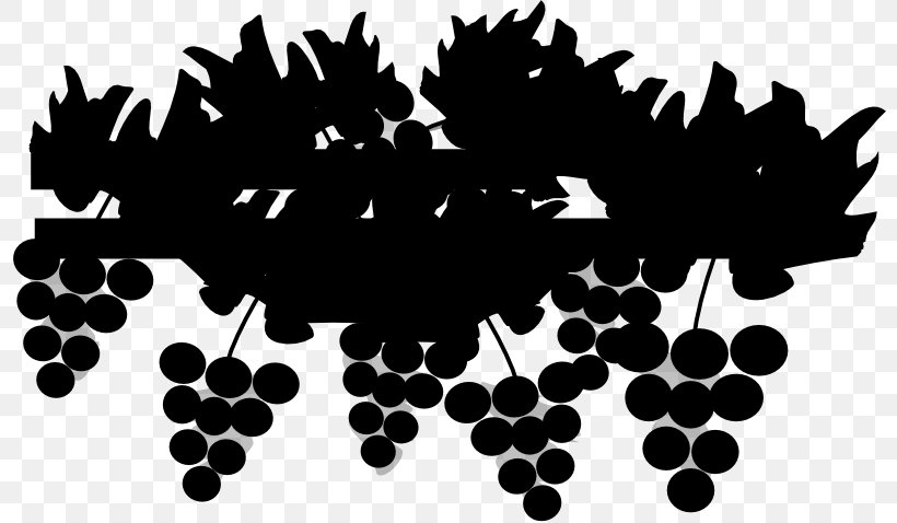 Common Grape Vine Clip Art Grape Leaves, PNG, 800x478px, Grape, Berry, Bilberry, Blackandwhite, Branch Download Free