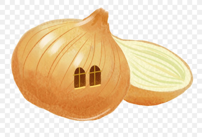 Pumpkin Calabaza Onion Vegetable, PNG, 818x557px, Pumpkin, Calabaza, Cartoon, Commodity, Cucurbita Download Free