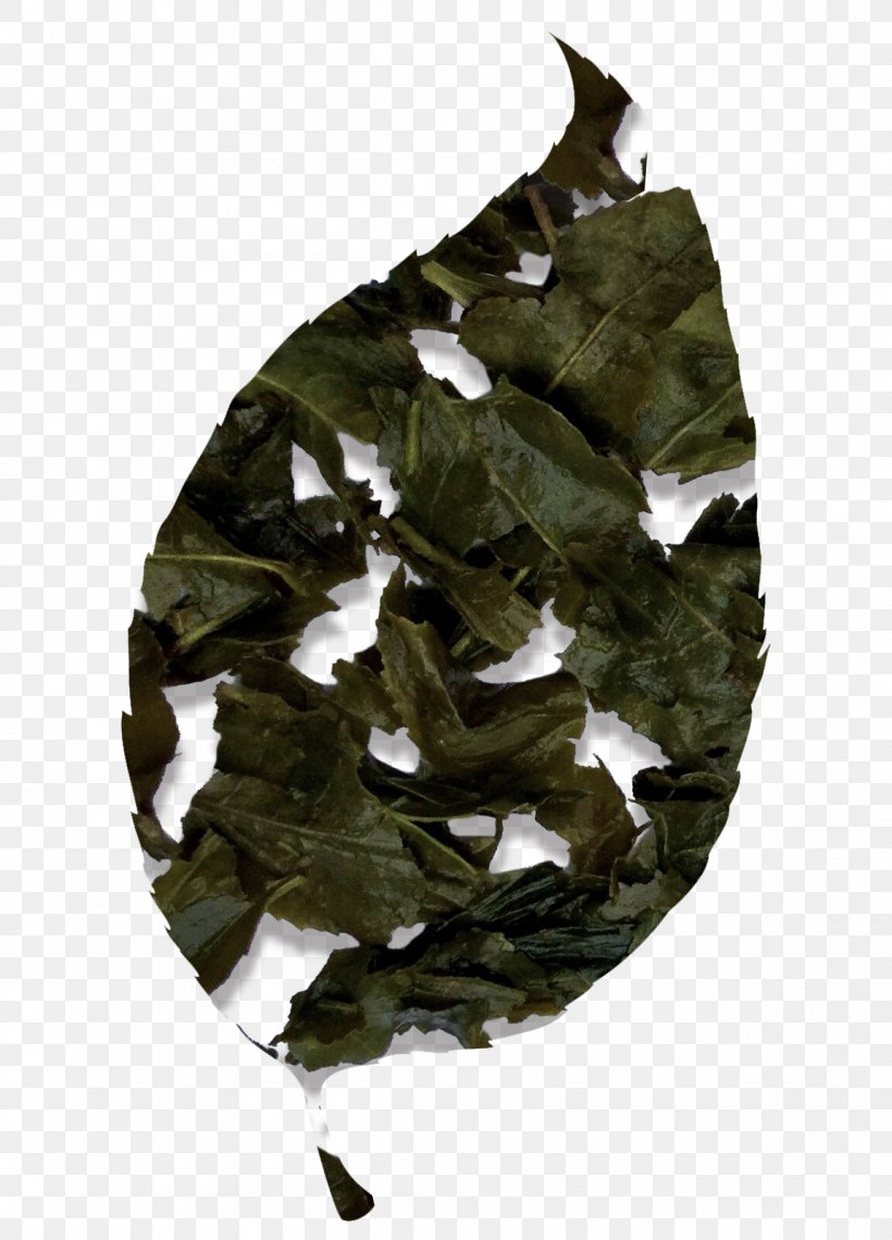 Bancha Tieguanyin Green Tea Japanese Cuisine, PNG, 1150x1600px, Bancha, Bag, Caffeine, Camouflage, Green Tea Download Free