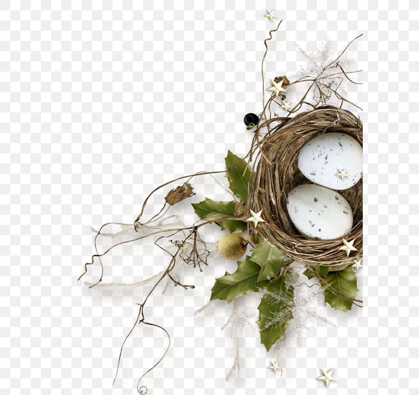 Decoupage Floral Design Clip Art, PNG, 600x773px, Decoupage, Art, Bird Nest, Branch, Drawing Download Free