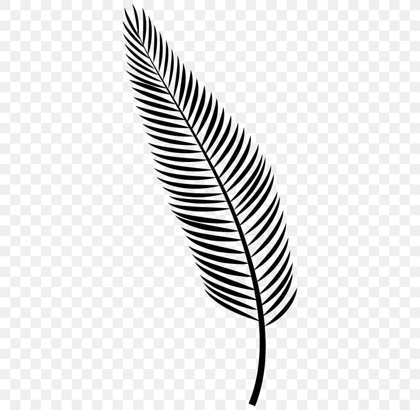 Leaf Line, PNG, 374x800px, Leaf, Blackandwhite, Fashion Accessory, Feather, Fern Download Free