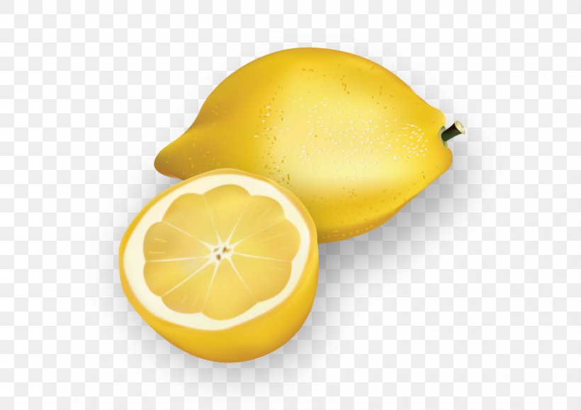 Lemon Euclidean Vector Download Illustration, PNG, 842x595px, Lemon, Citric Acid, Citron, Citrus, Food Download Free