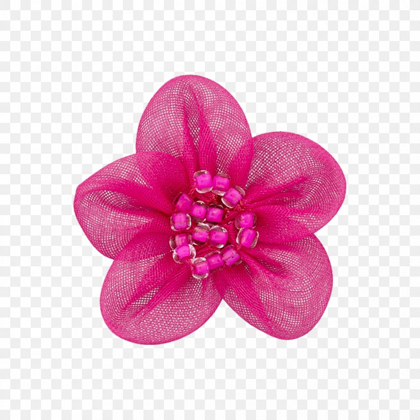 Pink M, PNG, 954x954px, Pink M, Blossom, Fashion Accessory, Flower, Impatiens Download Free