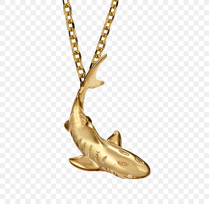 Charms & Pendants Shark Earring Necklace Jewellery, PNG, 800x800px, Charms Pendants, Bracelet, Chain, Earring, Fashion Accessory Download Free