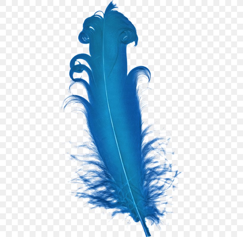 Feather Blue Plumage, PNG, 421x800px, Feather, Blue, Color, Element, Gratis Download Free
