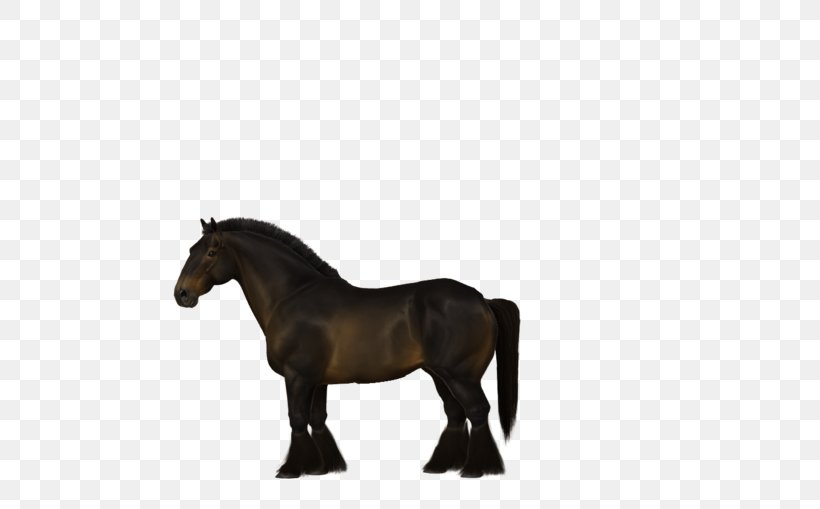 Mane Stallion Pony Mustang Mare, PNG, 700x509px, Mane, Animal Figure, Bridle, Genetics, Grass Download Free