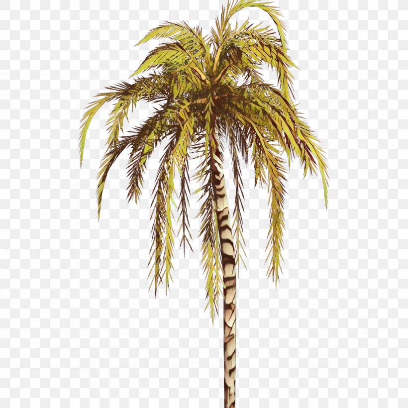 Palm Tree, PNG, 1024x1024px, Cartoon, Arecales, Attalea Speciosa, Coconut, Date Palm Download Free