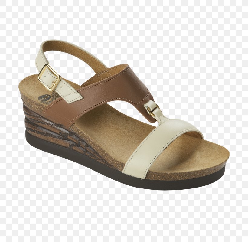 Slipper Sandal Dr. Scholl's Shoe Footwear, PNG, 800x800px, Slipper, Beige, Brown, Diabetes Mellitus, Dress Shoe Download Free
