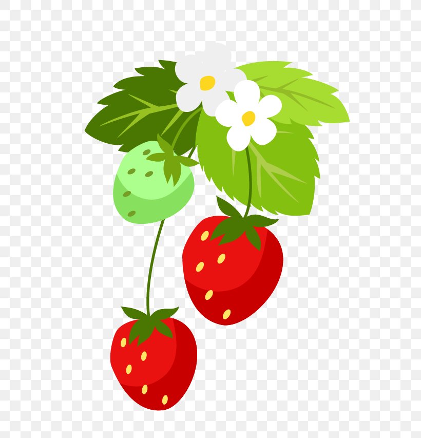 Strawberry Clip Art Leaf Flower, PNG, 667x853px, Strawberry, Branch, Flower, Flowering Plant, Food Download Free