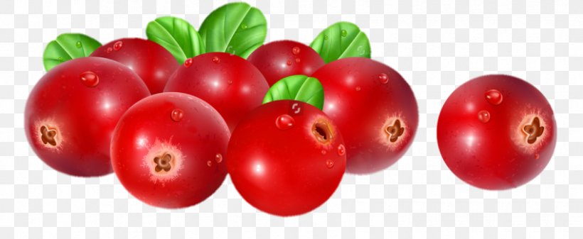 Vector Graphics Stock Illustration Stock Photography Cranberry, PNG, 850x350px, Stock Photography, Arctostaphylos, Art, Berry, Cherry Download Free