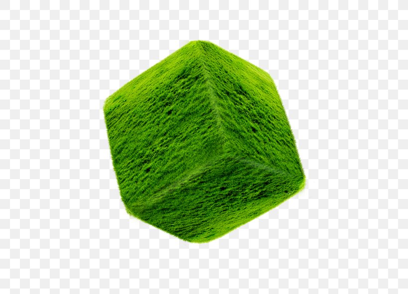 Cube Square Green, PNG, 591x591px, Cube, Computer Graphics, Geometry, Grass, Green Download Free