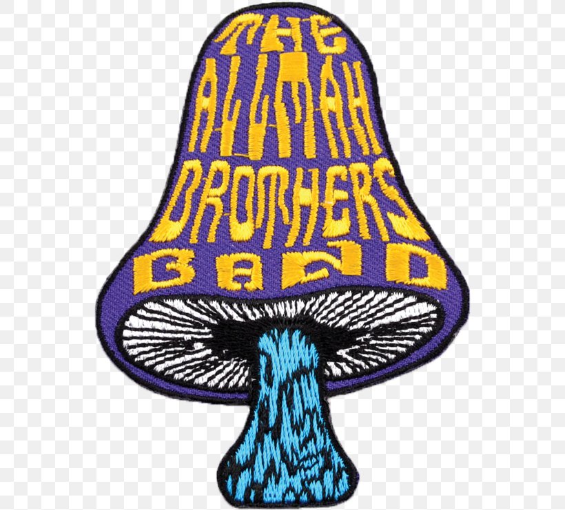 The Allman Brothers Band T-shirt Heavy Metal Musical Ensemble Embroidered Patch, PNG, 546x741px, Allman Brothers Band, Concert, Concert Tshirt, Dickey Betts, Duane Allman Download Free
