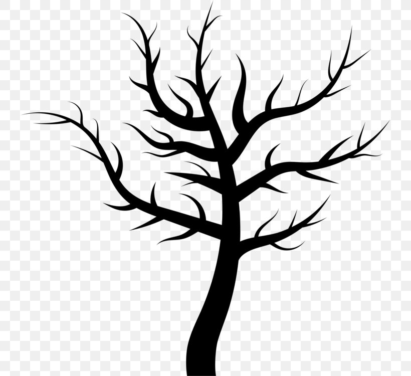 Vector Graphics Clip Art Silhouette Illustration Tree, PNG, 738x750px, Silhouette, American Larch, Birch, Blackandwhite, Botany Download Free