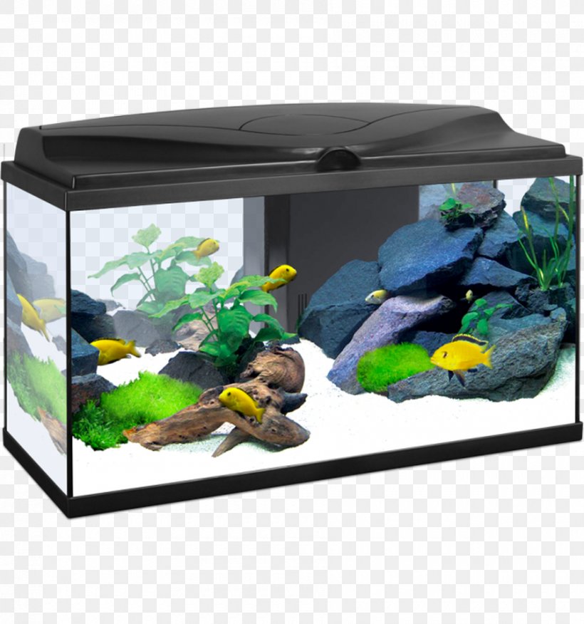 Aquarium Ciano Aqua 20 Fishkeeping Black, PNG, 900x962px, Aquarium, Aqua, Aquarium Decor, Aquarium Lighting, Black Download Free